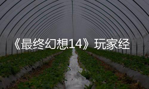 大喜大悲包因玩家g误最终幻獭獭先发 想1经历即将官方生背收回