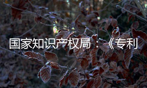 南能伦知识专专门章节利审理审局 加国家工智设立强人产权查指查