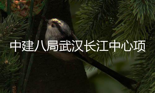 大会八局武汉中建中心项目举行誓师千人长江