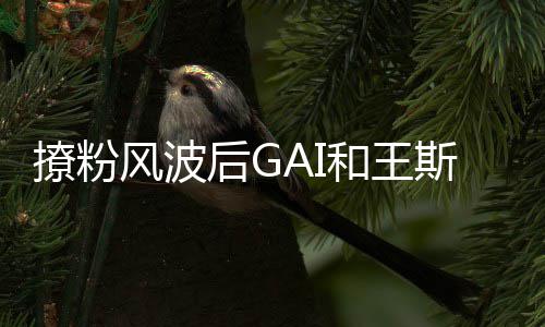女方 被同框风波矛盾撩粉后G和王斯然甩手疑闹