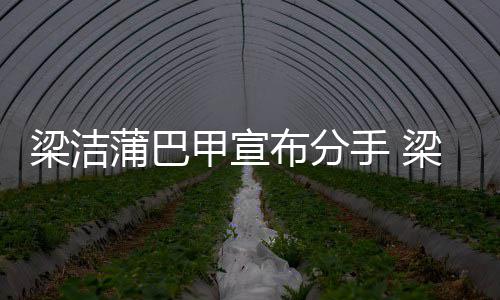 的布分么时梁洁梁洁候在蒲巴蒲巴甲宣甲什手 一起