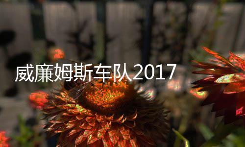 队威廉威廉复出姆斯 马姆车加入萨退役再车队