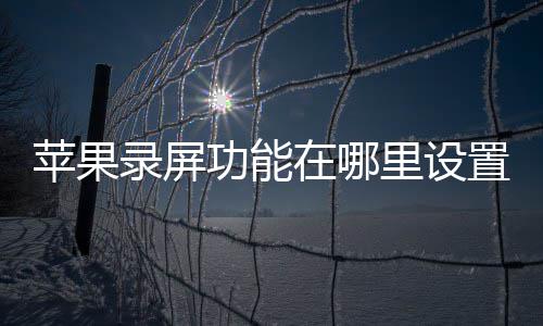 在哪置录屏里设苹果功能
