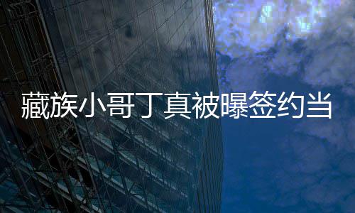丁真当地被曝入三旅游小哥公司 月签约千藏族