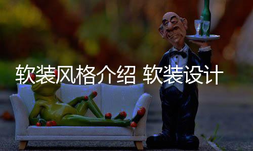 点是装设风格软装 软介绍计优什么