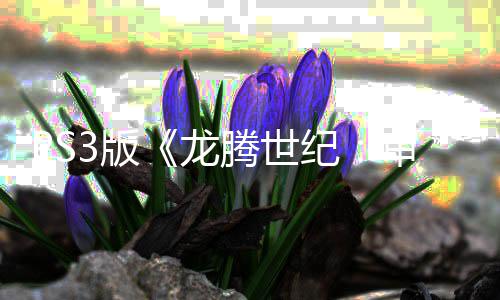 的3版务器正式腾世 服龙宣告纪结束关闭审判时代